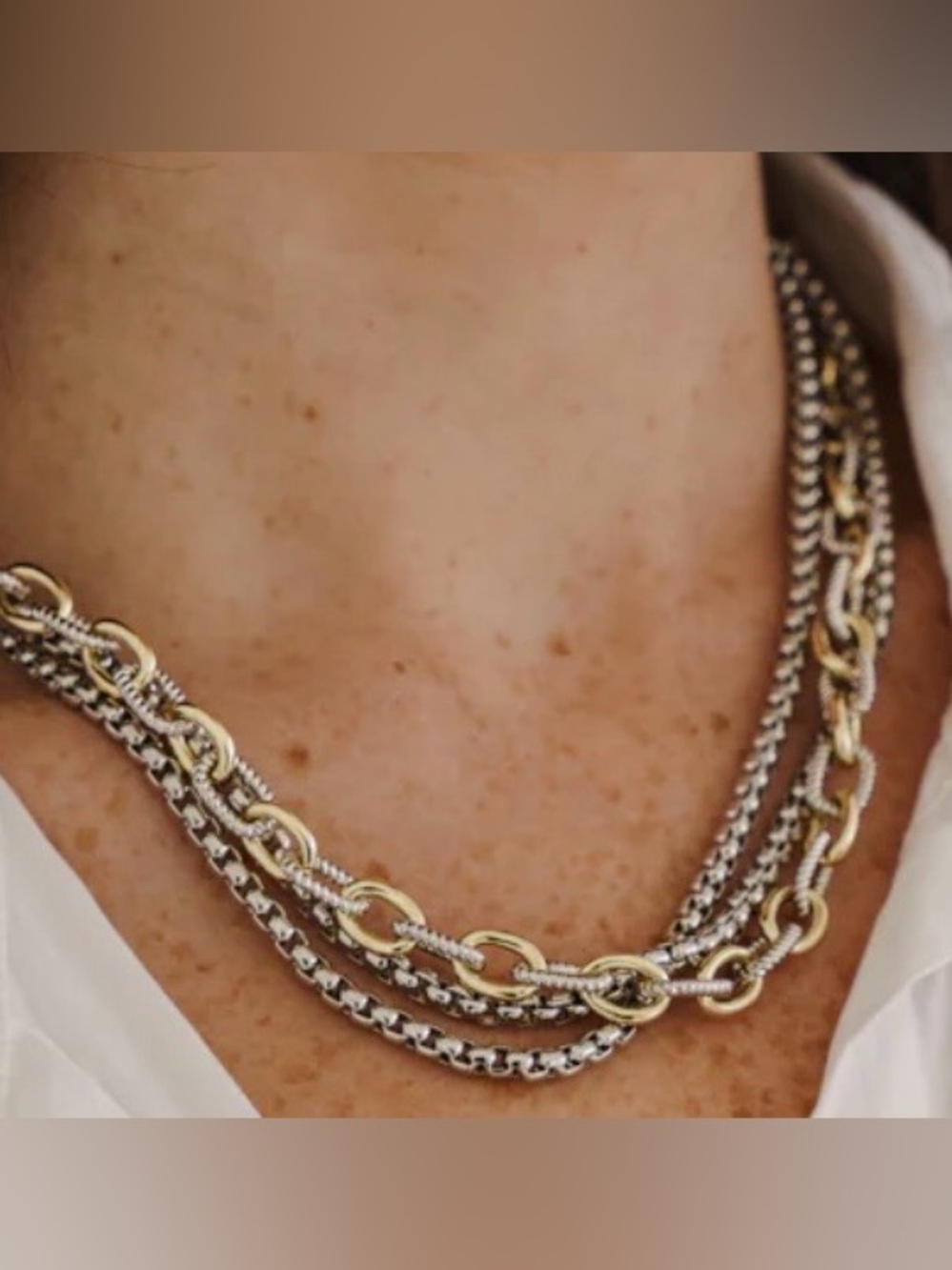 NWT Two-Tone Silver and Gold Layered Link Necklace